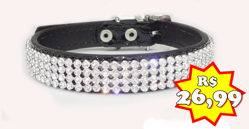 Coleira Strass
