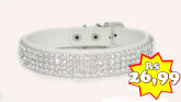 Coleira Strass