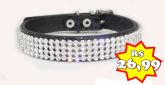 Coleira Strass